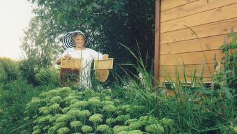 У Баєві відроджуюють традиції бджолярства