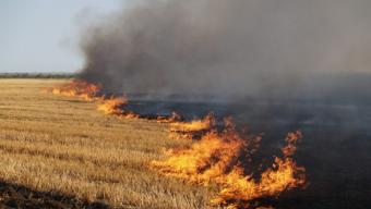 Пожежонебезпечно: закликають не палити суху траву