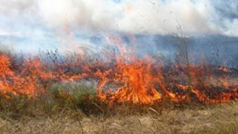 Пожежонебезпечно: мешканців громади закликають не спалювати суху траву