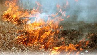 Пожежі в екосистемах