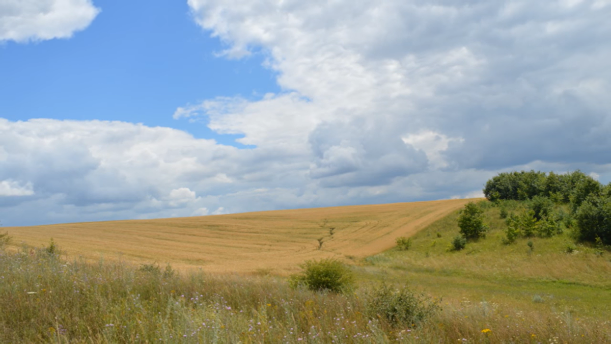 Ратнів 3