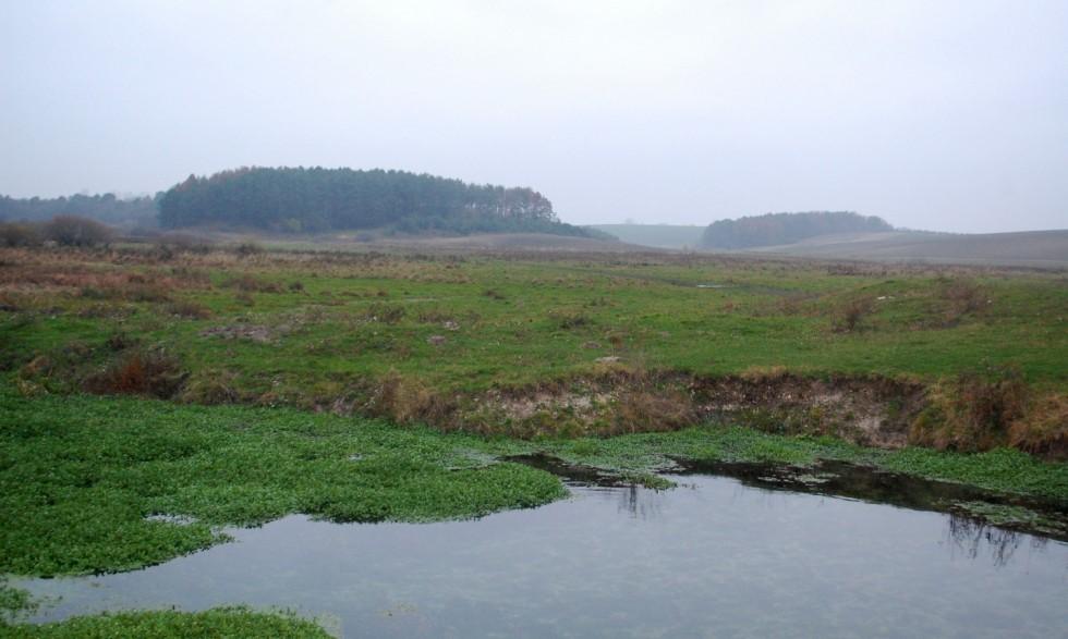 Цеперів